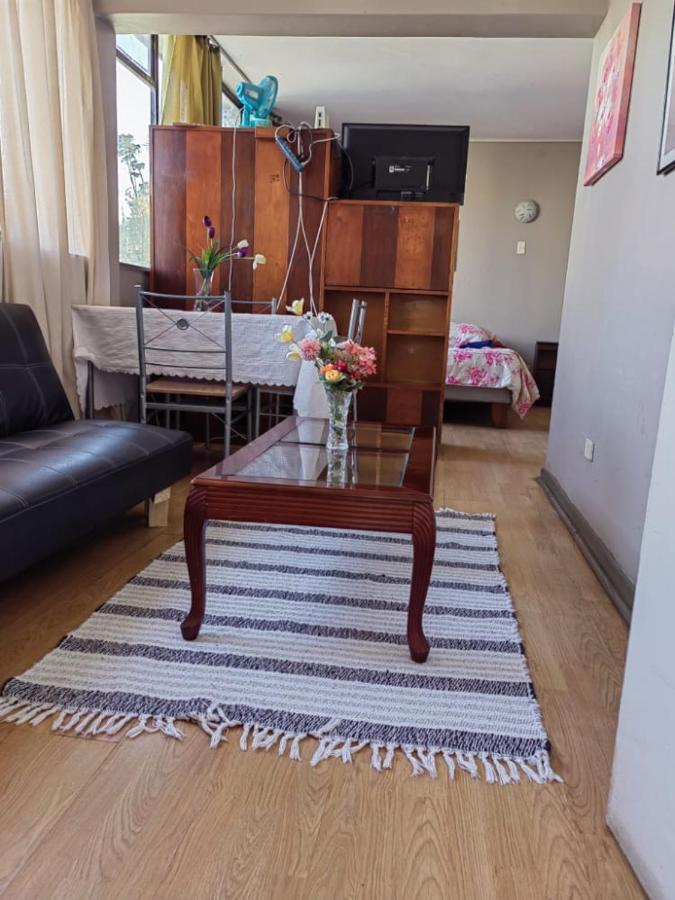 Departamento Plaza Parroquia Quinta Vergara Vina del Mar Zewnętrze zdjęcie